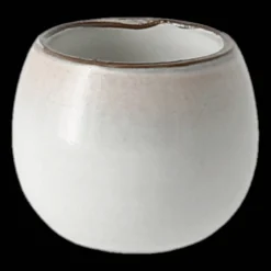 Amera Eggeglass