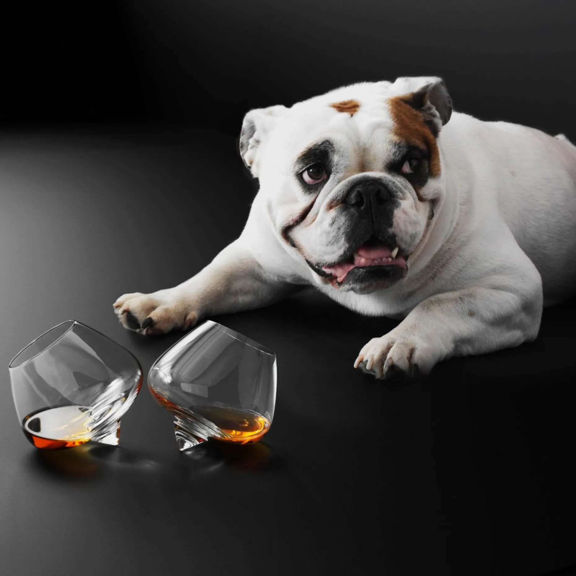 Cognac Glass 25 Cl