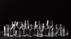 Melodia Champagneglass 16 Cl 4-Pakning