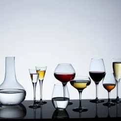 More Champagneglass 4-Pakk