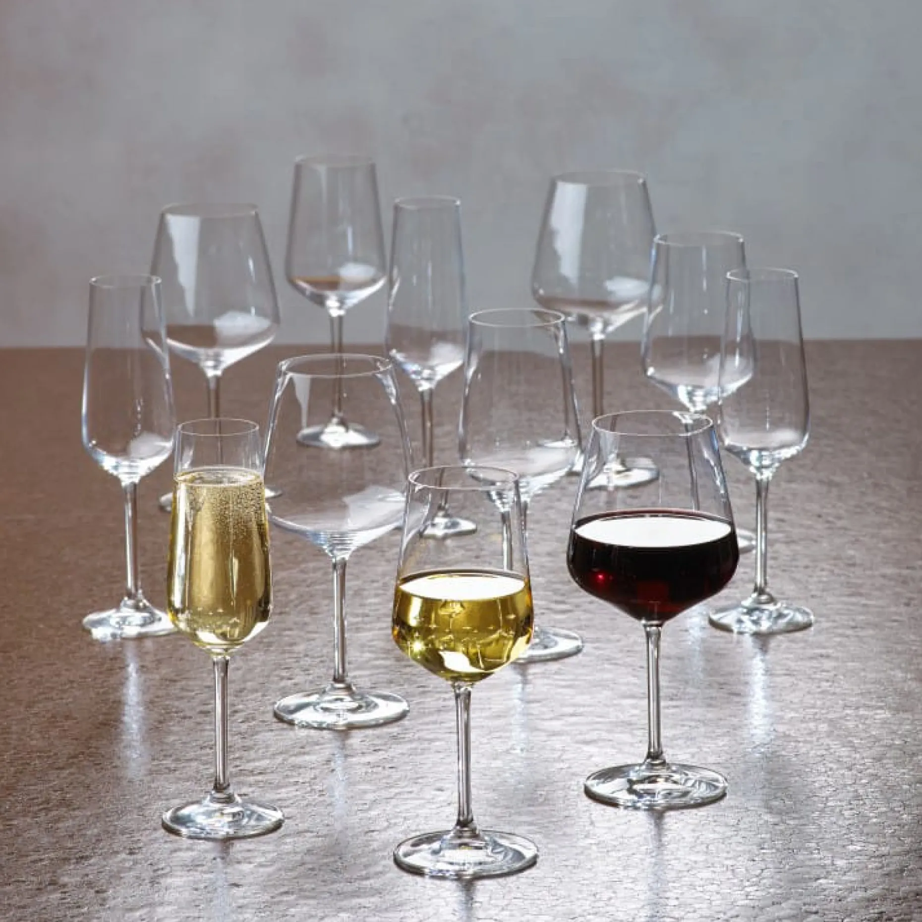Ovid Champagneglass 4-Stk.