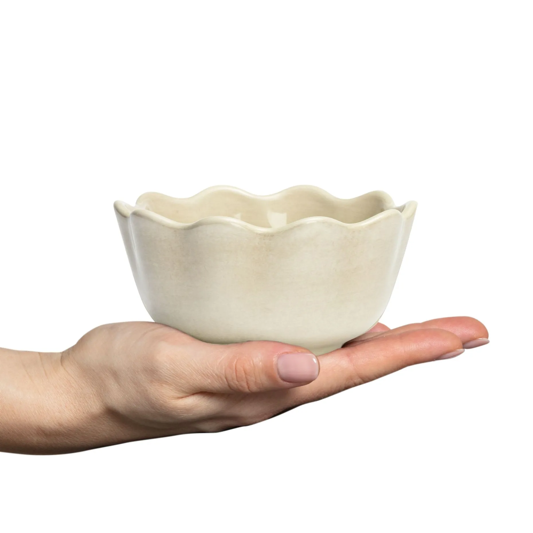 Oyster Ostronskal 13 Cm