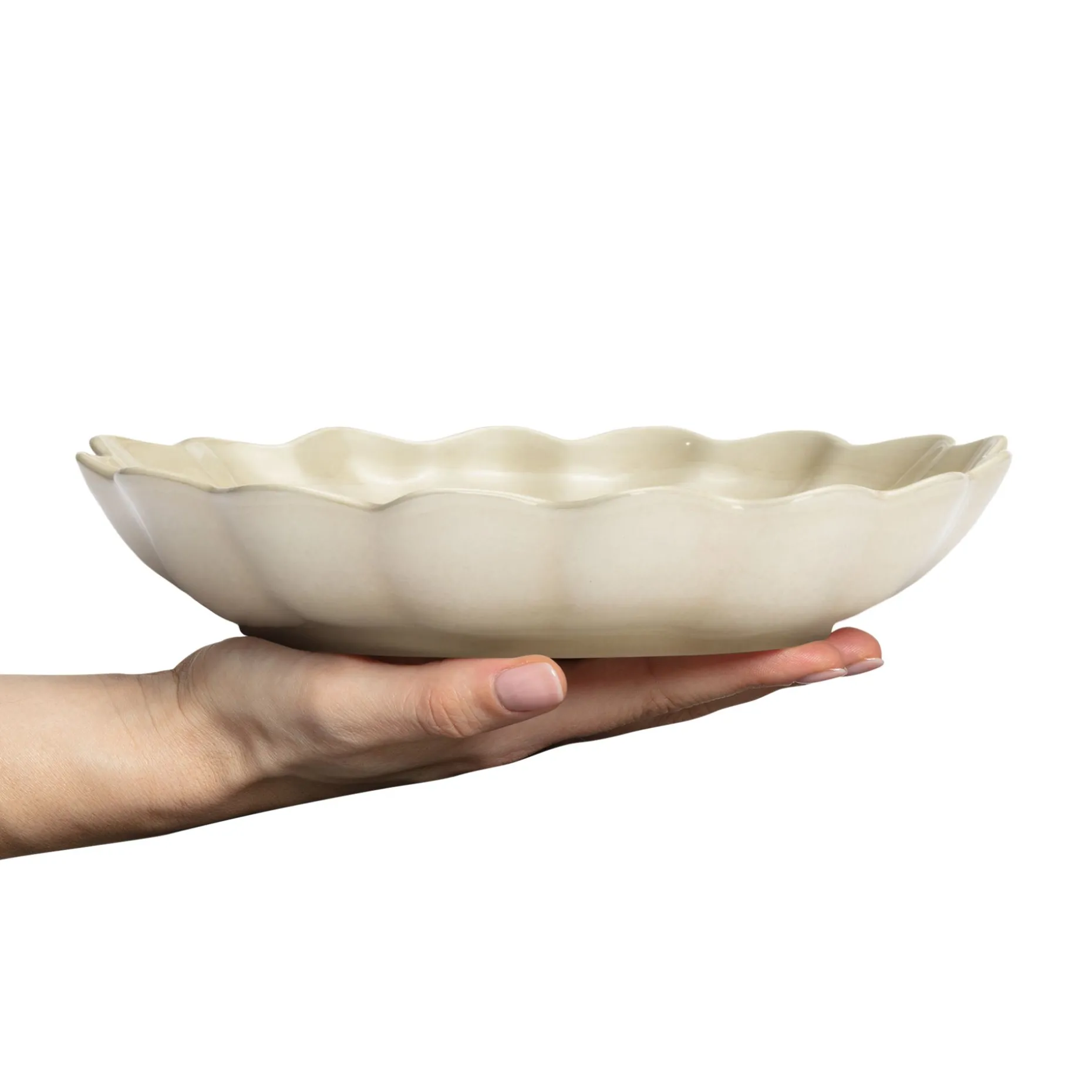 Oyster Ostronskal 24 Cm