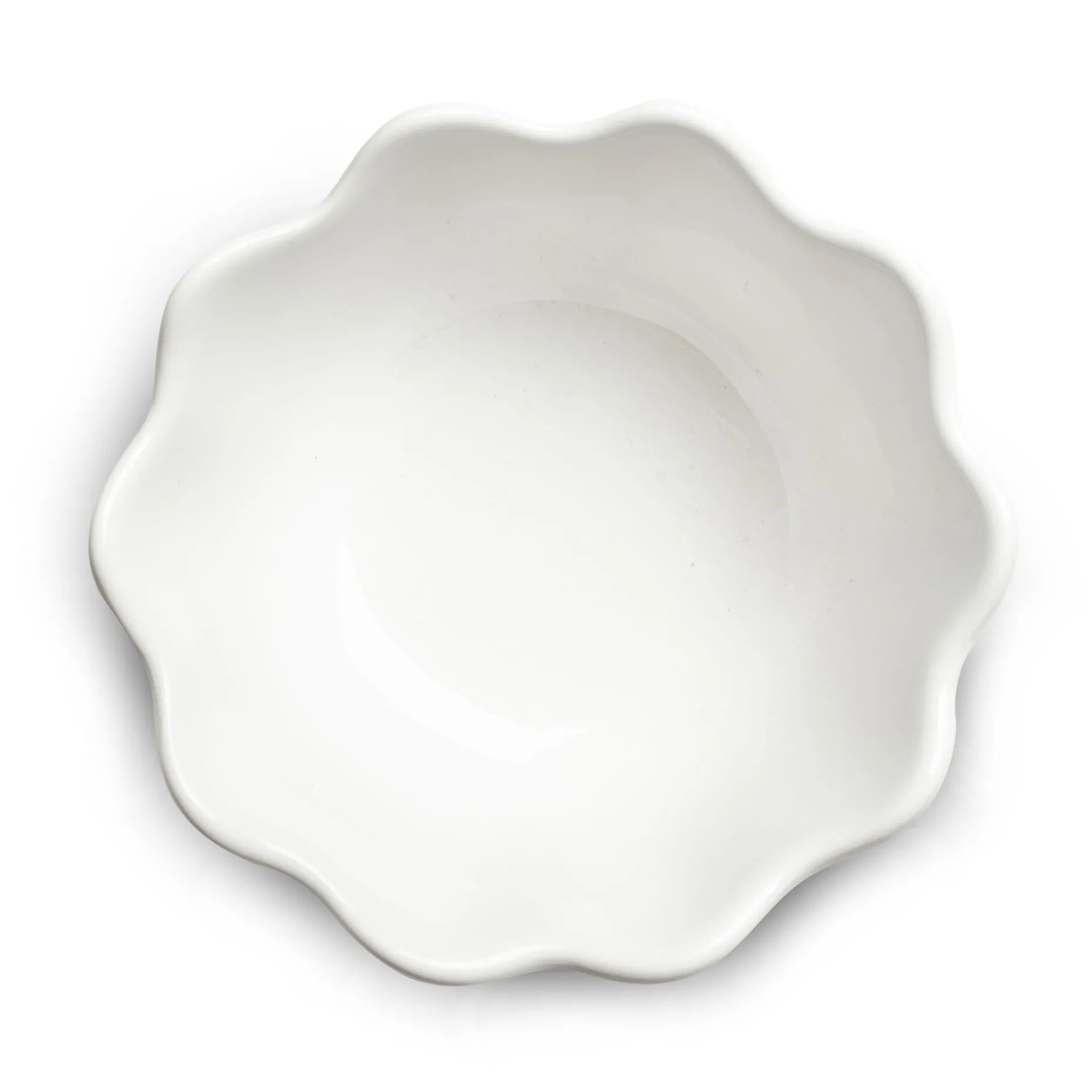 Oyster Ostronskal 13 Cm