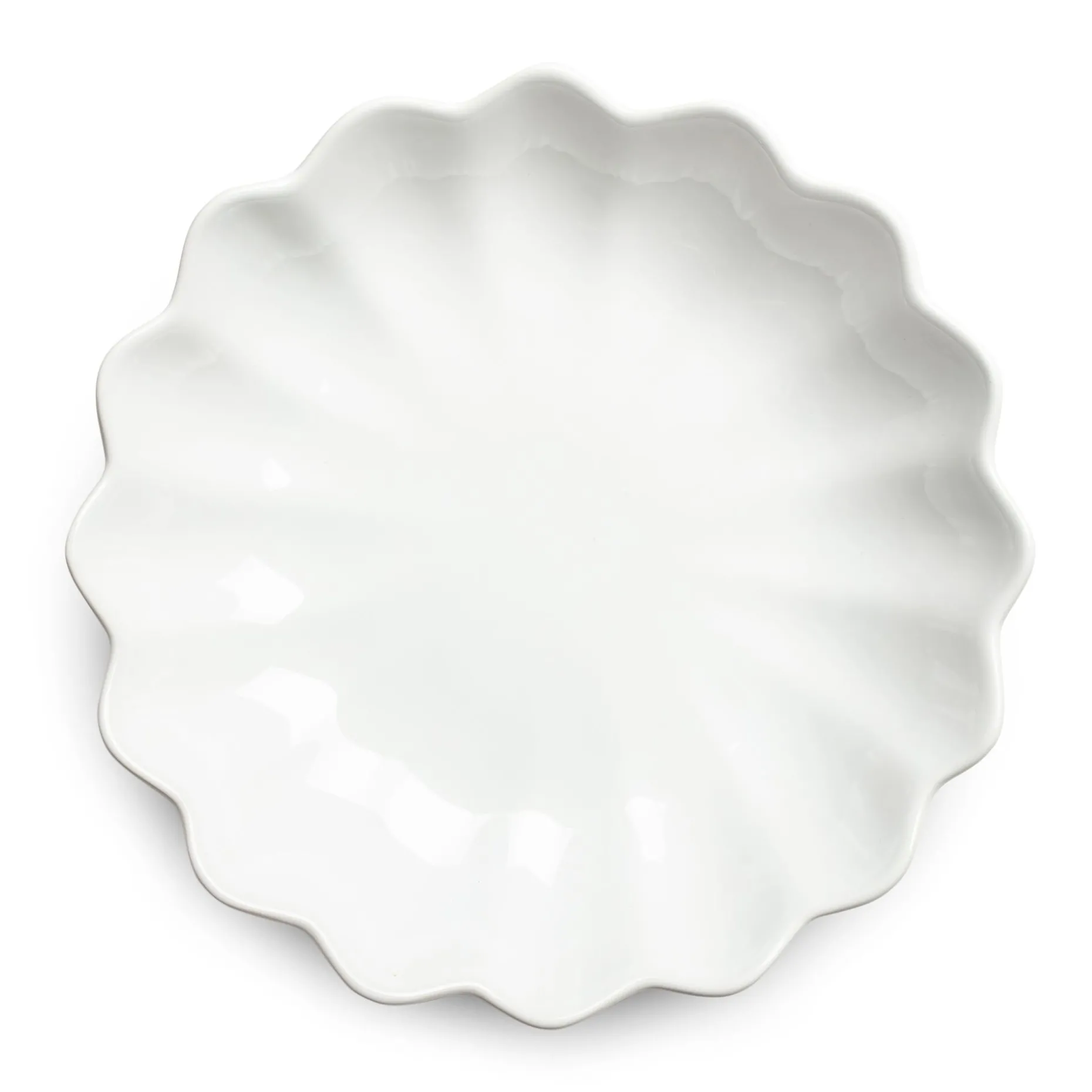 Oyster Ostronskal 24 Cm