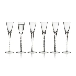 Paris Snapsglass 2,5 Cl 6-Pakning