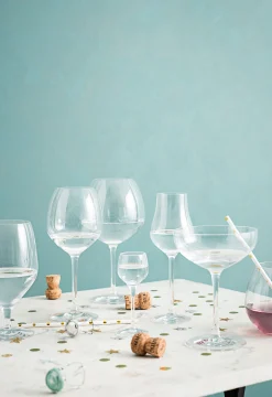 Premium Champagneglass 39 Cl 2-Pakning