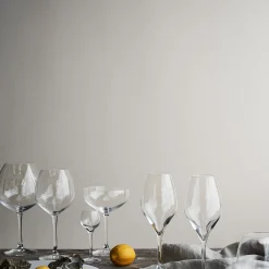 Premium Champagneglass 37 Cl 2-Pakning