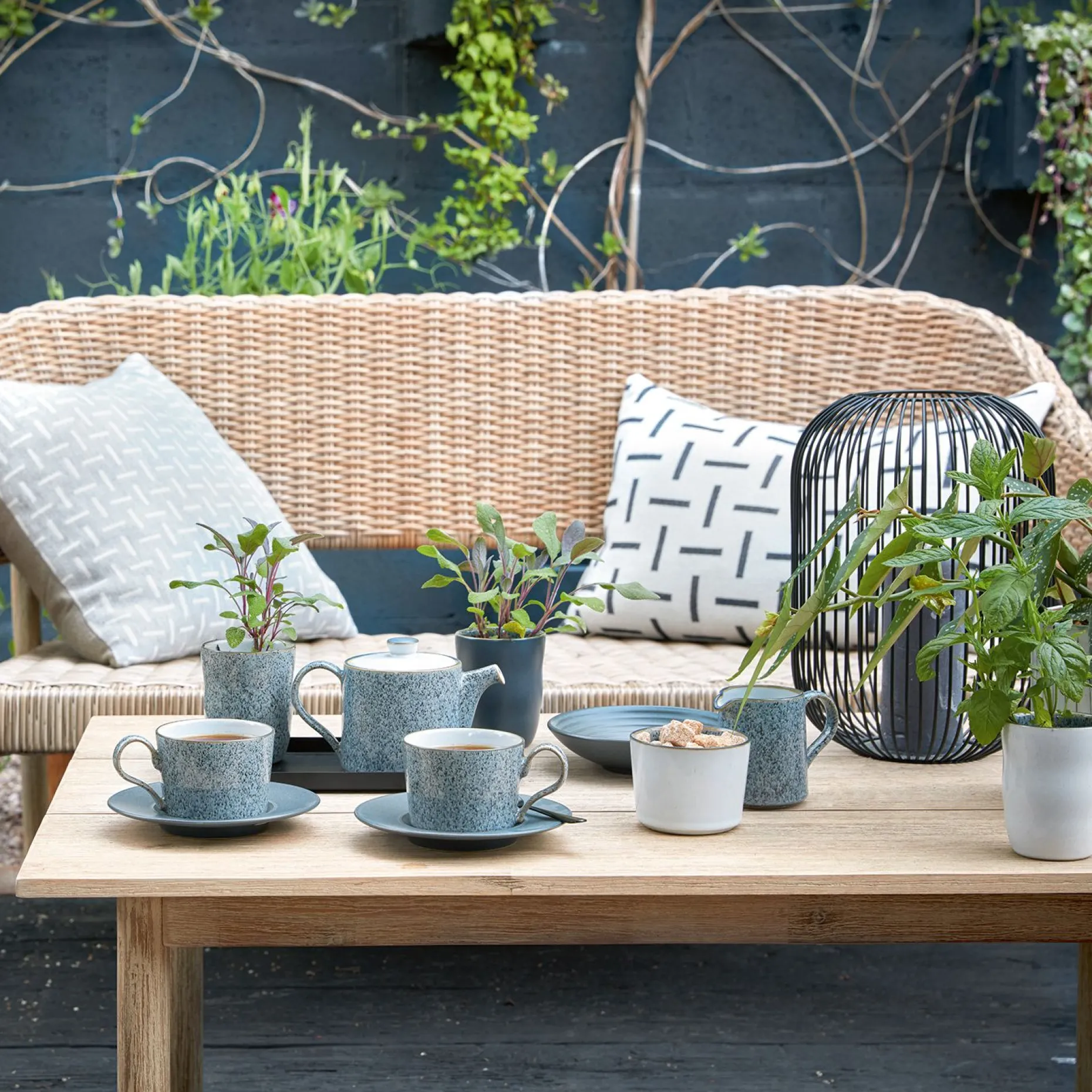 Studio Grey Brew Sukkerskal